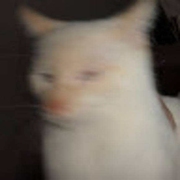 Meet your Posher, Jocelyn - Picture 1 of 1